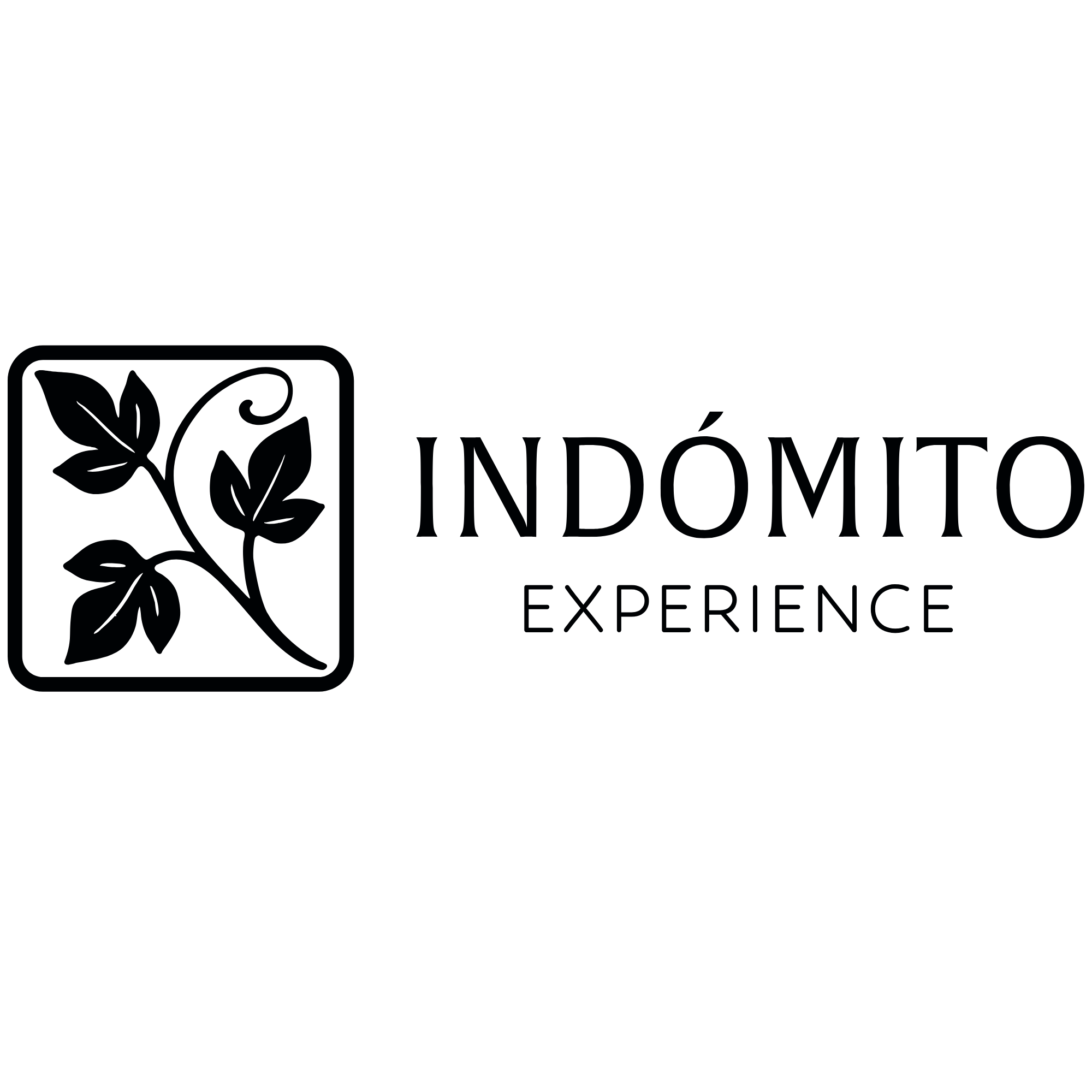 Indómito Experience